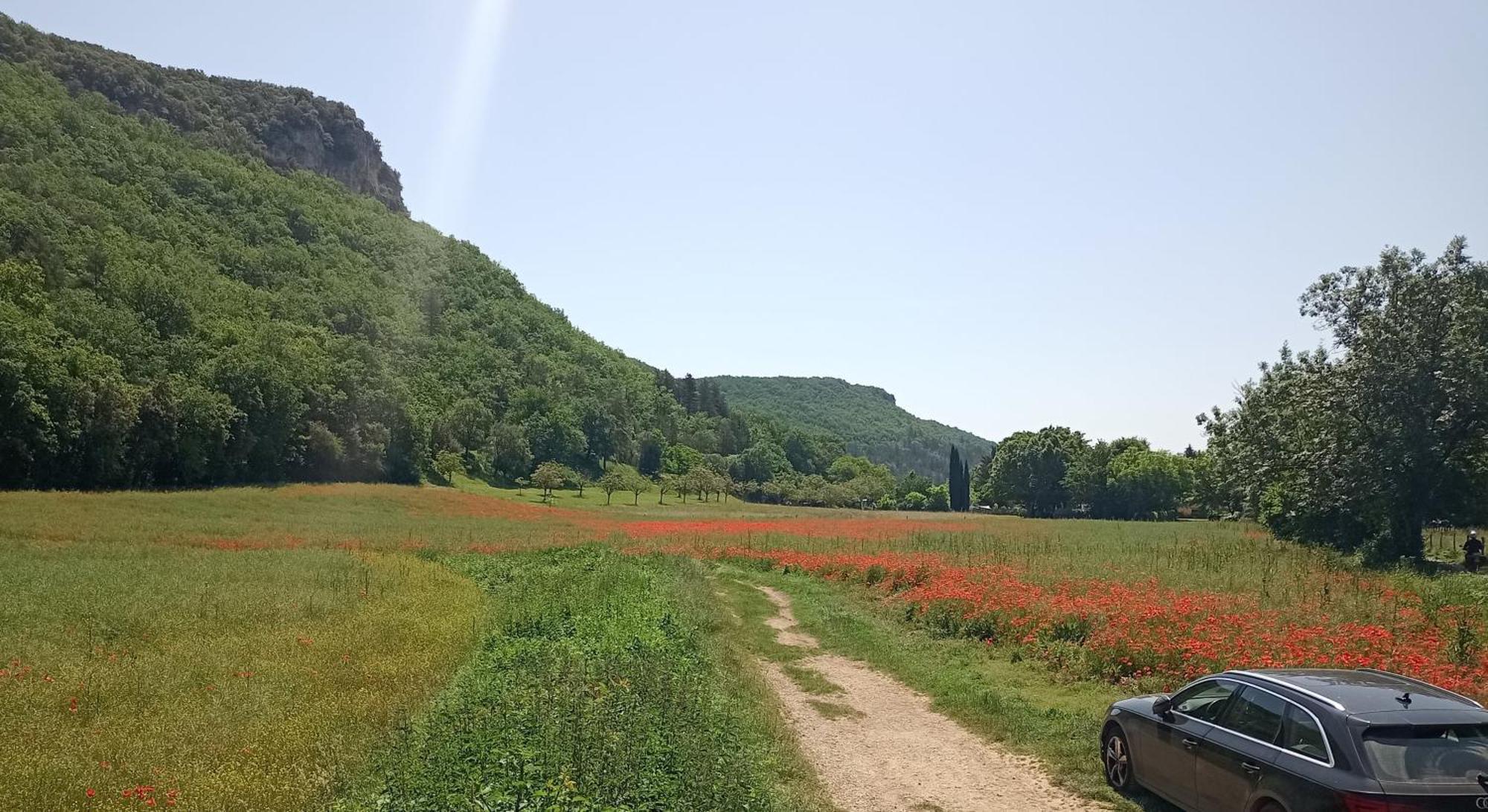 Les Jonquilles Panzió Domme Kültér fotó