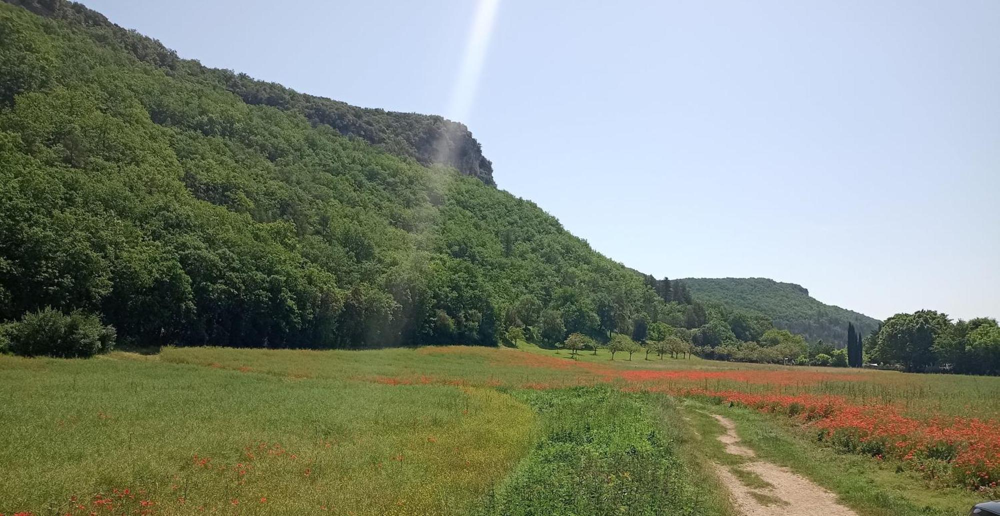 Les Jonquilles Panzió Domme Kültér fotó